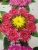 Funeral Products Artificial Flower Chrysanthemum Small Wreath Tomb-Sweeping Day Memorial Supplies Wreath Garland Cemetery Cemetery Stall