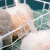 2020 New Refreshing Bath Ball Three Colors Loofah Wash Cloth Bath Bath Bath Ball HL-0209