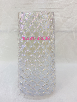 European-Style Minimalist Creative Scale Glass Vase Transparent Aquatic Flowers Lily Geometric Vase