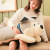 Husky Doll Husky Plush Toys Large Simulation Sitting Dog Ragdoll Doll Sleeping Pillow Wholesale