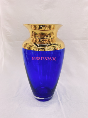 Home Decoration Golden Edge Bottle Mouth Fish Basket Creative Glass Vase