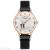 Douyin hot style ladies fashion watch beautiful SIMS pattern alloy magnet button ladies personality quartz watch