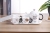 Cartoon Cat Cold Water Pot Set (White) Internet Celebrity Live Broadcast Popular Ceramic Cup Gift Cup Tea Cup
