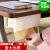 Creative Punch Free Wall - Mounted paper Towel box Kitchen Table top Car toilet Multi-functional Plastic paper holder