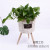 Creative Nordic Straw Woven Knitted Basket Flower Basket Bamboo Woven Rattan Woven Flower Pot Coats Flower Basket Woven Flower Pot Green Dill Flowerpot Wooden Feet