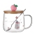 Summer Peach Glass Cup Borosilicate Cup Internet Celebrity Live Streaming Hot Gift Cup Teacup Water Cup Cup with Cover