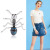 Europe and the United States new creative Insect series individual oil blue and black ant Brooch delicate men and women with the same Corsage