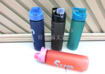 Sports Bottle Sports Kettle Outdoor Tea Making Male and Female Portable Cup Filter Water Bottle 600ml