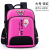 Elementary School Boy Girl Backpack Backpack Stall E1993