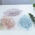 X10-1125 Fashion Creative Multi-Color Transparent Leaf Pattern Fruit Plate Coffee Table Candy Plate Melon Seeds Snack Plate