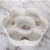 Fashion creative household tray wholesale plastic melon seed tray partition with a lid candy box