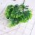 Manufacturers direct simulation plant home decoration artificial flower leaves simulation plastic leaf props Turtle Leaf