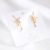 925 Silver Needle Elegant Artificial Zircon Earrings Japanese Korean Simplicity and Exaggeration Earrings Silver Accessories Factory Direct Sales Wholesale