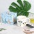 High Quality Color Box Love Cup Creative Personalized Trend New Fashion Water Cup Ceramic Mug Animal Alpaca