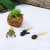 New Animal Shell Growth Cycle Frog Chicken Mosquito Turtle Simulation Model Toy Children's Small Toys