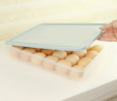J52-4824 Refrigerator Fresh Storage Box Packaging Egg Storage Box Kitchen Household Sealed Rectangular Plastic Egg