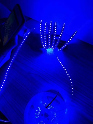 Manufacturers direct led lights with domestic indoor living room ceiling lighting 220V high decorative flexible strip 