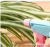 500ml Ml Sprinkling Can Gardening Tools Candy-Colored Hand Button Sprinkling Can Fertilizers for Potted Flowers Spray Bottle Plastic Watering Can Sprinkling Can