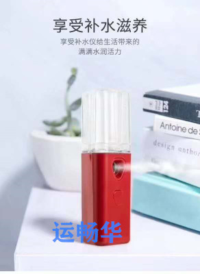 Portable USB Recommissioning Hydrating Face Piggie Series Spray Hydrator