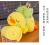 Web celebrity duck air-conditioned doll soft doll office nap pillow gift plush toy