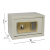 Xinsheng T20 gold panel household small password deposit box desktop office safe