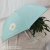Small Daisy sun umbrella black gum umbrella to incrunshade, Sun protection and UV 50% off umbrella for rain and sunshine