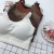 Japan's original single bear bodice fairy Sleep underwear can be adjusted without the underwire gathered bra