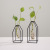 Nordic Wind simple Geometry, Wrought iron Transparent glass Hydroponic Vase, dry flower Arrangement in Living room decoration