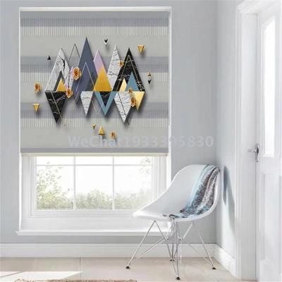 Factory Direct Sales Living Room Bedroom Study Room Darkening Roller Shade Curtain 3D Cartoon Full Room Darkening Roller Shade Finished Products Foreign Trade Wholesale