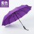 Umbrella Customized Logo12 Bone Automatic Folding Men's Business Umbrella Creative Advertising Umbrella Sun Umbrella