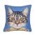 For leaning on the sofa with a Cartoon short plush pillow as living room pillowcase model between the wholesale the back