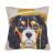 For leaning on the sofa with a Cartoon short plush pillow as living room pillowcase model between the wholesale the back