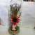 Dried Flower Cartoon Glass Crafts Ornaments with Lights