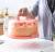 Portable cake box Baking tool Household Baking tool Transparent Plastic Birthday cake box