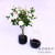 Simple small mouth Glass Vase Transparent decoration Creative Furniture Table in the living Room Vase