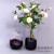 Simple small mouth Glass Vase Transparent decoration Creative Furniture Table in the living Room Vase
