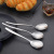 SOURCE Manufacturer Moonlight Series 304 Stainless Steel Tableware Household Stainless Steel Knife, Fork and Spoon Small Spoon Gift Set