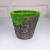 Imitation flocking pot lichen Succulent Plants Green Potted plants with flower mud Moss Pulp pot manufacturers wholesale