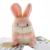 Cross-Border Supply Cute Rabbit Schoolbag Keychain Hamster Cute Ball Rabbit Pendant Plush Toy Claw Machine Doll Wholesale