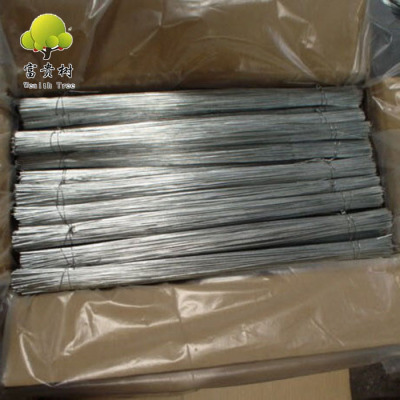 Factory Direct Electric Galvanized Iron Wire Straight Cutting Wire 1.9mm Q195 Material Binding Wire 