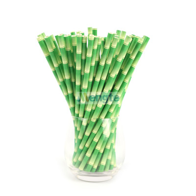 Restaurant Bar Home Outside Eco-Friendly 100% Biodegradable Safe Disposable paper straws
