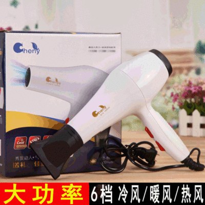 6-Speed Heating and Cooling Air Household High-Power Hair Dryer Professional Hair Dryer High Quality Wind Hair Dryer