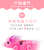 Best-Seller on Douyin Leash Pig Leash Unicorn Leash Dog Leash Universal Horse Projection Fish Electric Luminous Toy