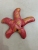 2020 New Starfish Sandbag Toys