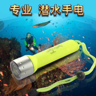 Professional Diving strong light Plastic flashlight Household Lighting Mini Portable Outdoor long-range as a cross-border goods