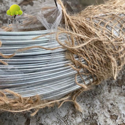 Direct Factory Galvanized Iron Wire 1.6mm16# 16 Gauge Electro GI Wire Roll Cold Binding Wire For Export to Africa 