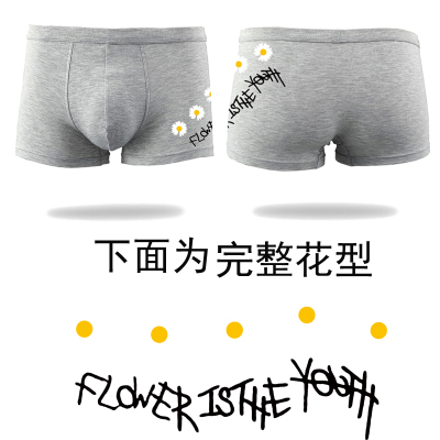 3D4 pairs of men's underwear pure cotton men boxer pants four seasons breathable personality middle waist young man unde