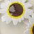 SUNFLOWER Little Daisy Funny Glasses Birthday Funny Toy Selfie Seaside Beach Concave Shape Sunglasses