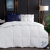 WeChat Hot-Selling Hilton Duvet Quilt Inner Downfull WeChat Exclusive for One Piece Dropshipping