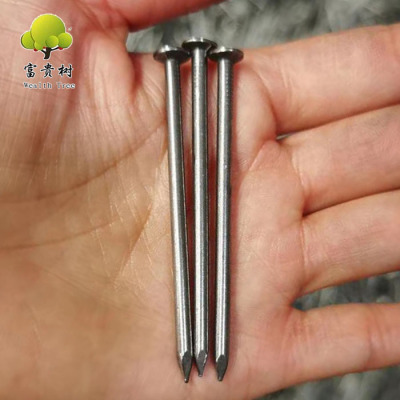 Direct Factory Common Iron Nail 2.5'' 60mm BWG14 Wood Nail Low Carbon Steel Wire Q235 Material Iron Wire Nails 